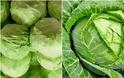 9 Εύκολης καλλιέργειας Λαχανικά για λαχανόκηπο ή γλάστρες - Φωτογραφία 4