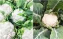 9 Εύκολης καλλιέργειας Λαχανικά για λαχανόκηπο ή γλάστρες - Φωτογραφία 6