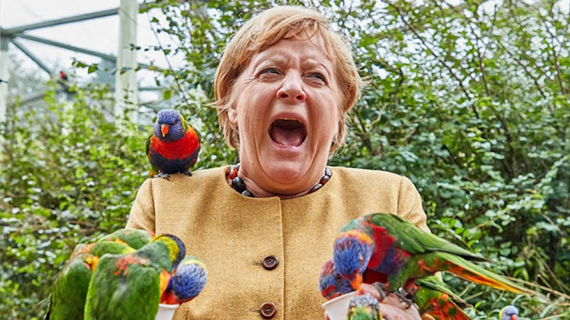Γερμανία: Όταν παπαγάλος δάγκωσε τη Μέρκελ που θέλησε να τον ταΐσει - Φωτογραφία 1