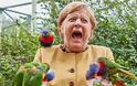 Γερμανία: Όταν παπαγάλος δάγκωσε τη Μέρκελ που θέλησε να τον ταΐσει