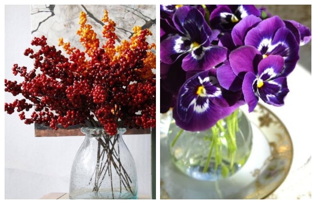 Φθινοπωρινές Διακοσμήσεις με Φυτά-Λουλούδια - Φωτογραφία 15