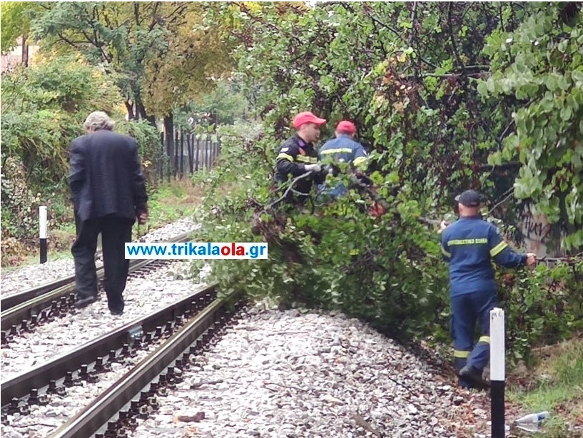 Τρίκαλα – Ακινητοποιήθηκε τρένο – Δέντρο έπεσε στις γραμμές εξαιτίας της κακοκαιρίας. - Φωτογραφία 1