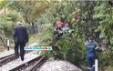 Τρίκαλα – Ακινητοποιήθηκε τρένο – Δέντρο έπεσε στις γραμμές εξαιτίας της κακοκαιρίας.