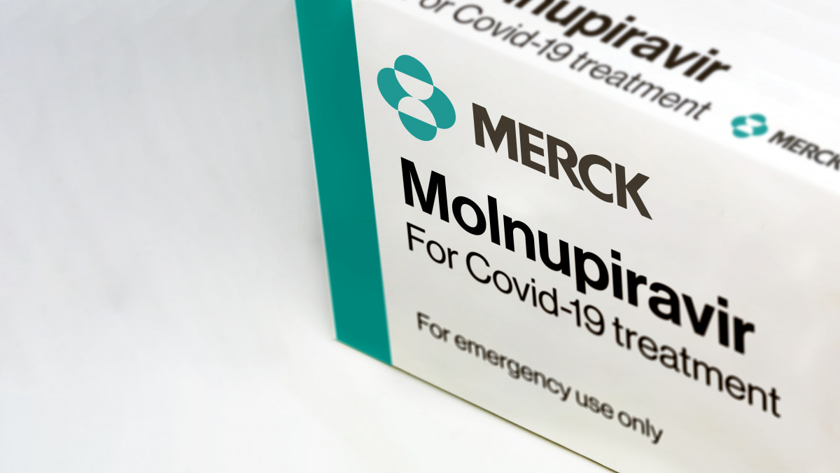 Μολνουπιραβίρη: Πώς το ελπιδοφόρο νέο φάρμακο πλήττει τον κορονοϊό - Φωτογραφία 1
