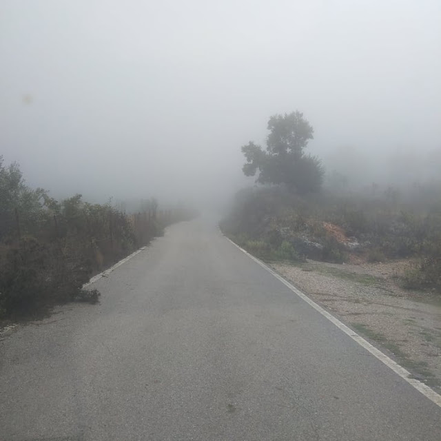 Το Βελανιδοδάσος Ξηρομέρου «πνιγμένο» από την ομίχλη (ΦΩΤΟ) - Φωτογραφία 1