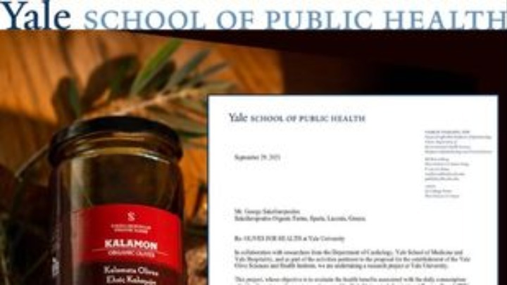 Ελληνικές βιολογικές ελιές στην έρευνα του πανεπιστημίου Yale της Αμερικής για τα οφέλη τους στην υγεία - Φωτογραφία 1