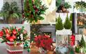 Τα πιο δημοφιλή χριστουγεννιάτικα φυτά για γιορτινή διακόσμηση