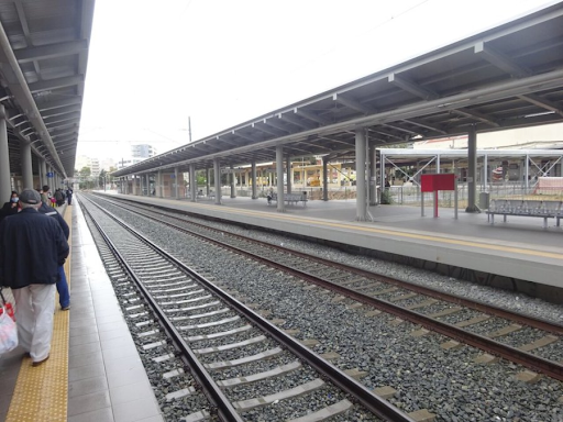 Κωλυσιεργεί ο ΟΣΕ για λύση στο σιδηροδρομικό πρόβλημα της Λάρισας - Φωτογραφία 1