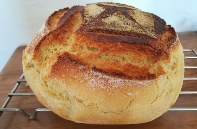Έχετε ψωμί σαν πέτρα; 2+1 τρόποι για να το κάνετε και πάλι μαλακό - Φωτογραφία 1