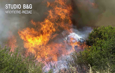 Αργολίδα: φωτιά στην περιοχή Κάτζια στον Άγιο Δημήτριο Αραχναιου - Φωτογραφία 2