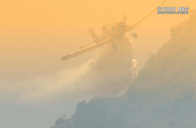 Αργολίδα: φωτιά στην περιοχή Κάτζια στον Άγιο Δημήτριο Αραχναιου - Φωτογραφία 3