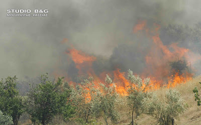 Αργολίδα: φωτιά στην περιοχή Κάτζια στον Άγιο Δημήτριο Αραχναιου - Φωτογραφία 4