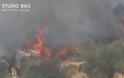 Αργολίδα: φωτιά στην περιοχή Κάτζια στον Άγιο Δημήτριο Αραχναιου - Φωτογραφία 1