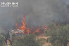 Αργολίδα: φωτιά στην περιοχή Κάτζια στον Άγιο Δημήτριο Αραχναιου