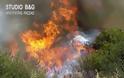 Αργολίδα: φωτιά στην περιοχή Κάτζια στον Άγιο Δημήτριο Αραχναιου - Φωτογραφία 2
