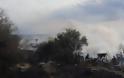 Κάηκε ολοσχερώς το σπίτι τρίτεκνης οικογένειας στη Γλυφάδα - Φωτογραφία 2