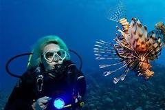 Μαϊμού επιδόματα 190.000 ευρώ σε 53χρονη