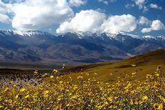 ΔΕΙΤΕ: Η μυστηριώδης Κοιλάδα του Θανάτου στην Καλιφόρνια