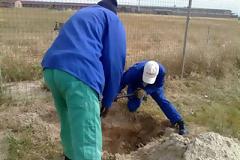 ΦΡΙΚΗ: Έθαψαν ζωντανό αδέσποτο σκύλο – Σοκαριστικές φωτογραφίες