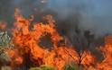 Σύλληψη 40χρονου για τη χθεσινή πυρκαγιά στην Ανω Γλυφάδα