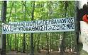 Aναστολή κάθε εργασίας από την ΕΛΛΗΝΙΚΟΣ ΧΡΥΣΟΣ στο δάσος των Σκουριών με προσωρινή διαταγή του ΣτΕ