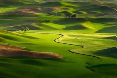 Αρχές Διακυβέρνησης: 22 Φορολογία: Ε.Δ.Α ή Γεωφορολόγηση