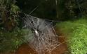 Δείτε:Ο μεγαλύτερος ιστός αράχνης στον πλανήτη!