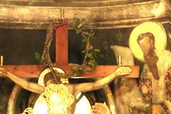 Άνθισε το ακάνθινο στεφάνι του Εσταυρωμένου Ιησού