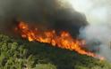 Φθιώτιδα: Καίγεται πευκοδάσος στη Λοκρίδα...