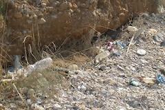 Αυτός ο λαός είμαστε δηλώνει αναγνώστρια