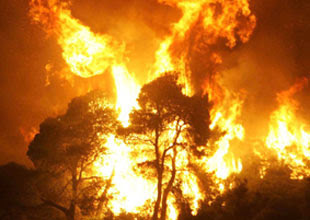Υπό έλεγχο οι μεγάλες πυρκαγιές στην Ισπανία - Φωτογραφία 1