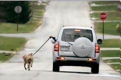 ΔΕΙΤΕ: Είναι στιγμές που η ανθρώπινη βαρεμάρα ξεπερνάει κάθε όριο!!!