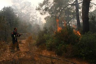 Κρανίου τόπος η χερσόνησος του Ακάμα μετά τη καταστροφική πυρκαγιά - Φωτογραφία 1