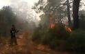 Κρανίου τόπος η χερσόνησος του Ακάμα μετά τη καταστροφική πυρκαγιά