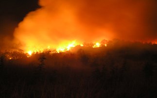 ΕΚΤΑΚΤΟ: Εκτός ελέγχου η πυρκαγιά στη Ρόδο! - Φωτογραφία 1