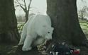 Μία πολική αρκούδα στο Λονδίνο, το βίντεο-συναγερμός για την Αρκτική