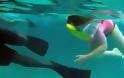 Έβαλαν την 5χρονη κόρη τους να κολυμπήσει με καρχαρίες(video)