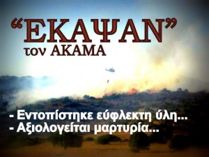Kύπρος: Έργο εμπρηστών η πυρκαγιά στον Ακάμα - Φωτογραφία 1
