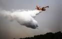 Μεγάλος κίνδυνος πυρκαγιών στη Β. Ελλάδα λόγω της έντονης βλάστησης