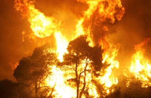 ΠΡΙΝ ΛΙΓΟ: Σε εξέλιξη η κατάσβεση πυρκαγιάς στην Ιστιαία Ευβοίας - Φωτογραφία 1