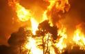 ΠΡΙΝ ΛΙΓΟ: Σε εξέλιξη η κατάσβεση πυρκαγιάς στην Ιστιαία Ευβοίας