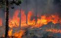 Εύβοια: Σε εξέλιξη η πυρκαγιά στην Ιστιαία - 500 στρέμματα έγιναν στάχτη