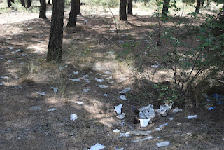 Στο έλεος των σκουπιδιών για ακόμη ένα καλοκαίρι το δάσος του Σέιχ Σου - Φωτογραφία 3