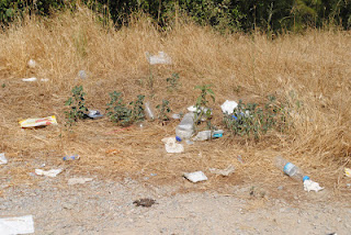 Στο έλεος των σκουπιδιών για ακόμη ένα καλοκαίρι το δάσος του Σέιχ Σου - Φωτογραφία 5