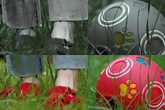 Πως βλέπουν τα ζώα;