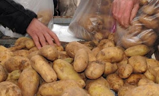 Πέντε τόνοι βιολογικής πατάτας σε απόρους και σε ιδρύματα - Φωτογραφία 1