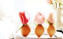 6 άγνωστες χρήσεις για τα… τσόφλια των αβγών!