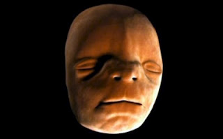 Η διαμόρφωση του προσώπου ενός εμβρύου [video] - Φωτογραφία 1