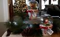 DIY Xιονόμπαλες με φυσικά φυτά για γιορτινή διακόσμηση αλλά και για δώρα