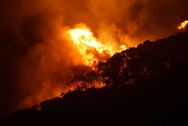 Αυστραλία: Δασικές πυρκαγιές στα δυτικά, πλημμύρες στα ανατολικά - Φωτογραφία 1